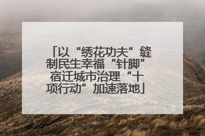 以“绣花功夫”缝制民生幸福“针脚” 宿迁城市治理“十项行动”加速落地
